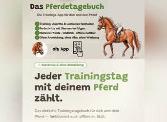Kostenlose Pferde-App – Testerinnen gesucht