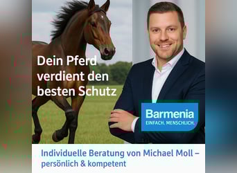Pferde OP-Versicherung 
