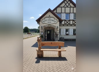Pferdebank Holzbank Eiche Pferdezubehör Gartenbank Bank Isländer