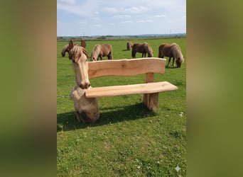 Pferdebank Holzbank Eiche Pferdezubehör Gartenbank Bank Isländer