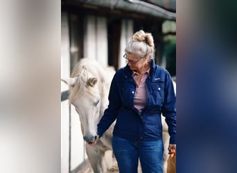 Pferdegestütztes Coaching 