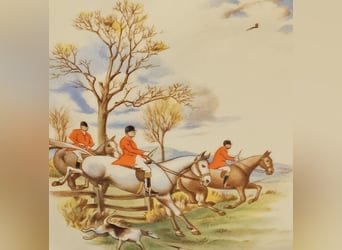 Porzellan Service - "Parforce-Jagd" - Teeservice Regency - 22-tlg