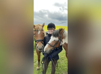 Professioneller Reitunterricht zu zweit auf zwei tollen Ponys 🐴✨