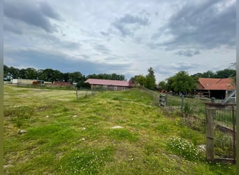 Sanierungsbedürftiger Resthof mit bis zu drei Wohneinheiten und Pferdehaltung in Apen-Godensholt