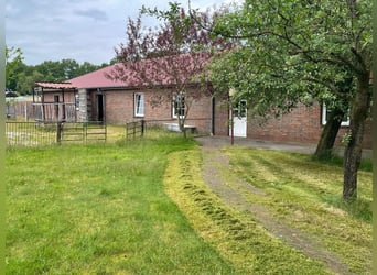 Sanierungsbedürftiger Resthof mit bis zu drei Wohneinheiten und Pferdehaltung in Apen-Godensholt