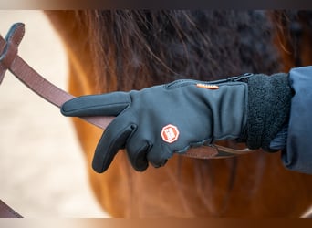 Winterreithandschuhe mit Touchscreen Funktion und Nasentropfenfänger