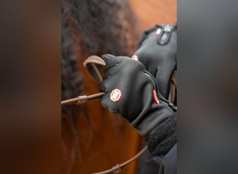 Winterreithandschuhe mit Touchscreen Funktion und Nasentropfenfänger