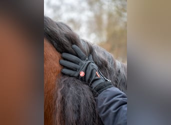 Winterreithandschuhe mit Touchscreen Funktion und Nasentropfenfänger