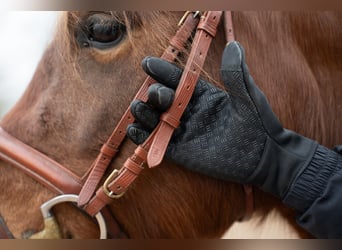 Winterreithandschuhe mit Touchscreen Funktion und Nasentropfenfänger