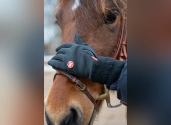 Winterreithandschuhe mit Touchscreen Funktion und Nasentropfenfänger