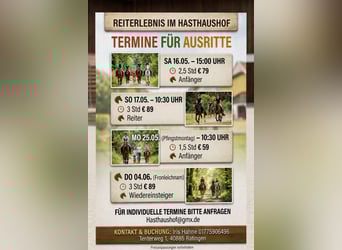 Ausritte für jung und alt