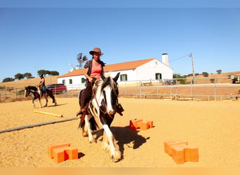 Erholungsurlaub mit Perden in Serpa Portugal