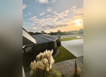 Geheimtipp für deinen Traumurlaub mit eigenem Pferd in Holland