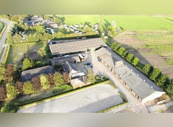 Pferdehotel in der Veluwe!!