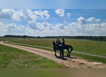 Pferdehotel in der Veluwe!!