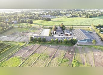 Pferdehotel in der Veluwe!!