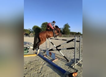 Reiturlaub in Bella Italia