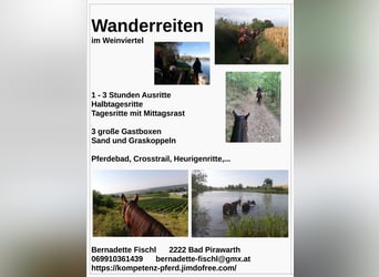 Wanderreiten in Niederösterreich