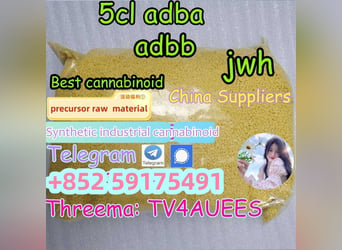 Top Quality adbb 5cladba Best cannabinoid 5cl-adba precursor raw material 