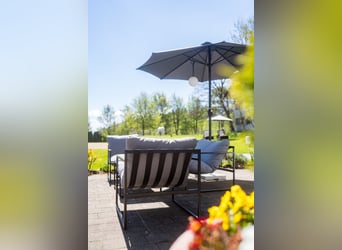 Urlaub auf Gut Buchenhof im Allgäu 