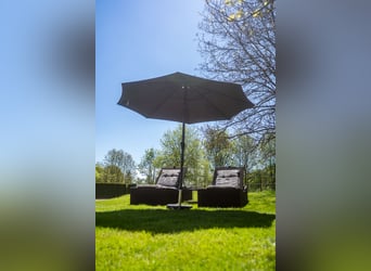 Urlaub auf Gut Buchenhof im Allgäu 