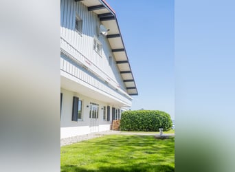 Urlaub auf Gut Buchenhof im Allgäu 