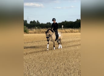 Ferien auf dem Ponyhof - Reiten