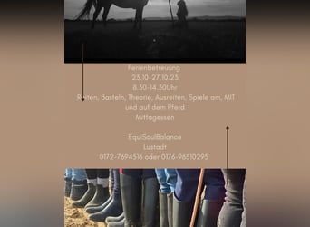 Reiterferien Ferienbetreuung 