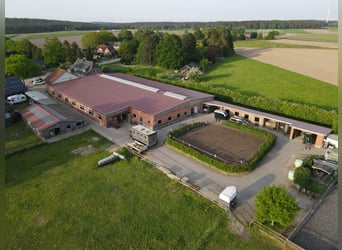 Reitferien für Kinder in der Lüneburger Heide