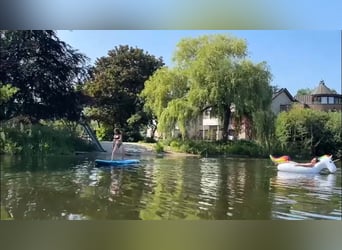 Neue Ferienwohnungen direkt am Wasser mit tollen Reitgelände - auch mit Gastboxen