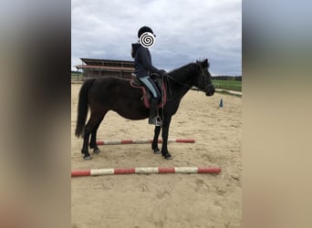 Reiterferien für Mädchen ab 10. Unsere Termine für 2026 sind online, wir freuen uns auf euch. 