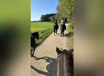 Reiterferien für Mädchen ab 10. Unsere Termine für 2026 sind online, wir freuen uns auf euch. 