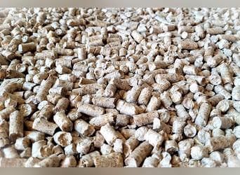 Miscanthus Einstreu Pellets (8 mm) für hygienisches Stallklima