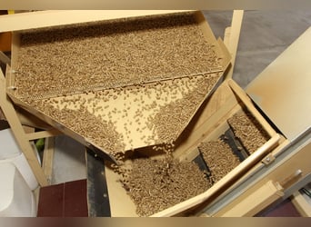 Mit Strohpellets beginnt ein ökologisches Morgen heute