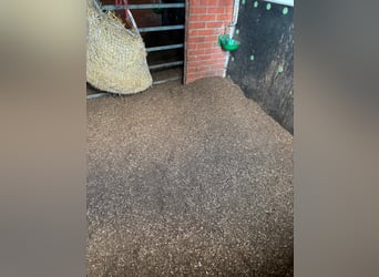 Waldboden als Einstreu 