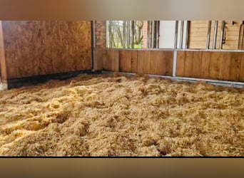 VETRIEBSPARTNER für Stroheinstreu LENABOX gesucht