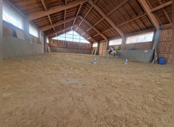 Aktivstall in neuer Anlage frei