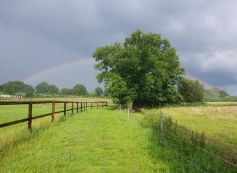 Eröffnung Andershof am 01.11.25 Paddocktrail und Allergiker!