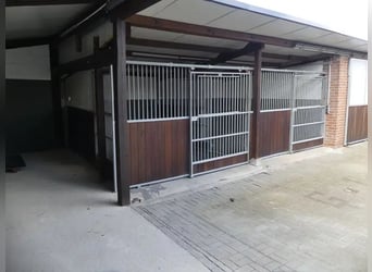 Pferdestallanlage mit 4 Boxen