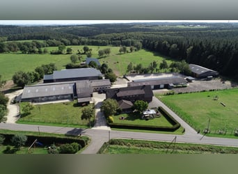 Aufzuchtplätze für Jährlinge frei ....               Jetzt Plätze für 2025 reservieren