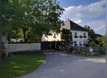 Aufzuchtplatz für Jungstuten ab Herbst 2026