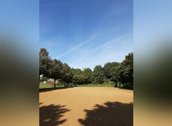 4 FREIE PFERDEBOXEN im Reit- und Fahrverein Heuchling-Lauf e.V.