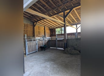 5 Pferdeboxen, ganzer neuer Stall