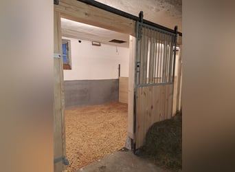 Biete Einstellplatz