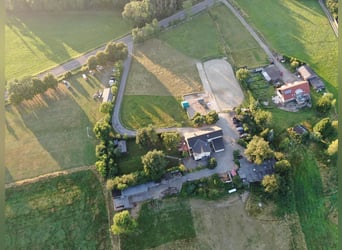 Box in kleiner privater Stallgemeinschaft frei