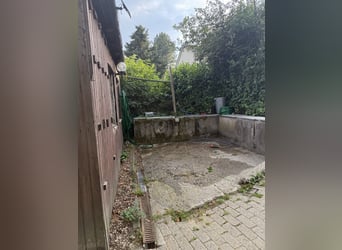 Box in kleiner privater Stallgemeinschaft frei
