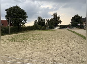 Box in kleiner privater Stallgemeinschaft frei