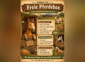 Box/ Koppelplatz frei