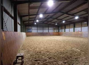 Boxen frei auf privater Reitanlage