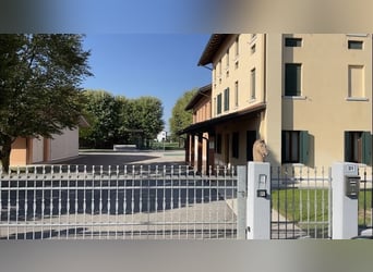 Einstellerplatz in hochklassigem Sportstall frei